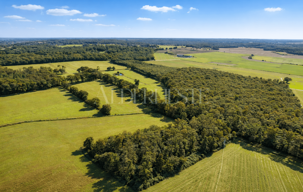Chatellerault-2