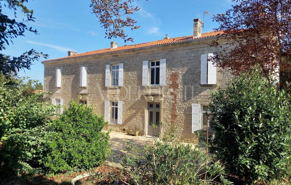 Picture-85393131-2-1