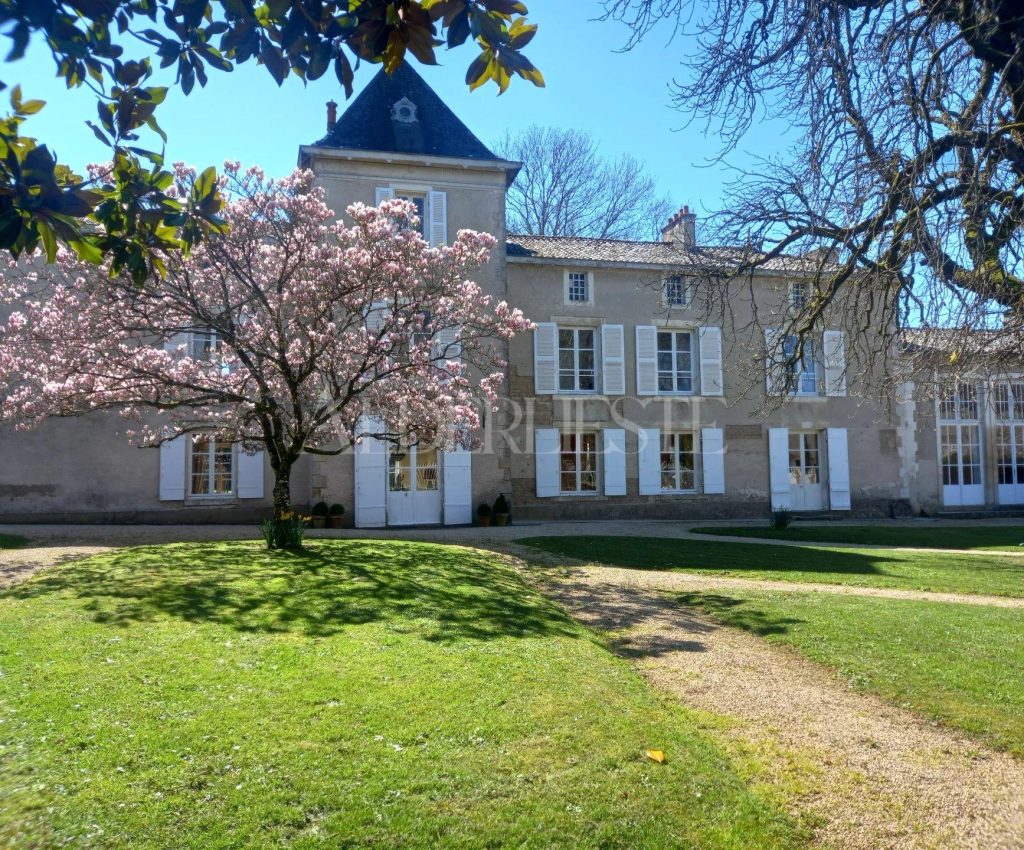 Picture-85652988-10-1