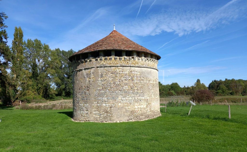 Picture-86361069-8