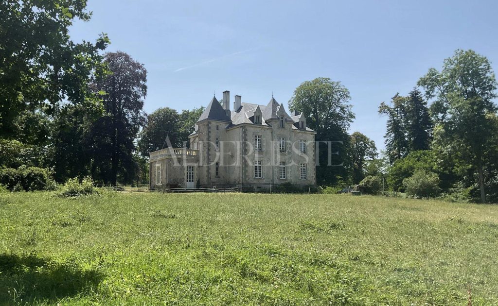 Picture-86854677-1-1