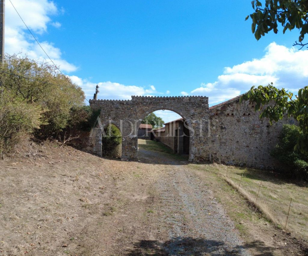 Picture-87306175-3-1